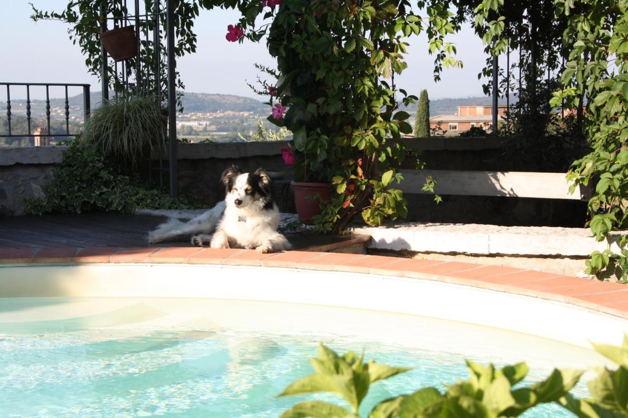 B&B Poggio Caiar Каприно Веронезе Екстериор снимка